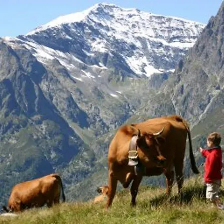 Studio Clos Du Savoy * Chamonix